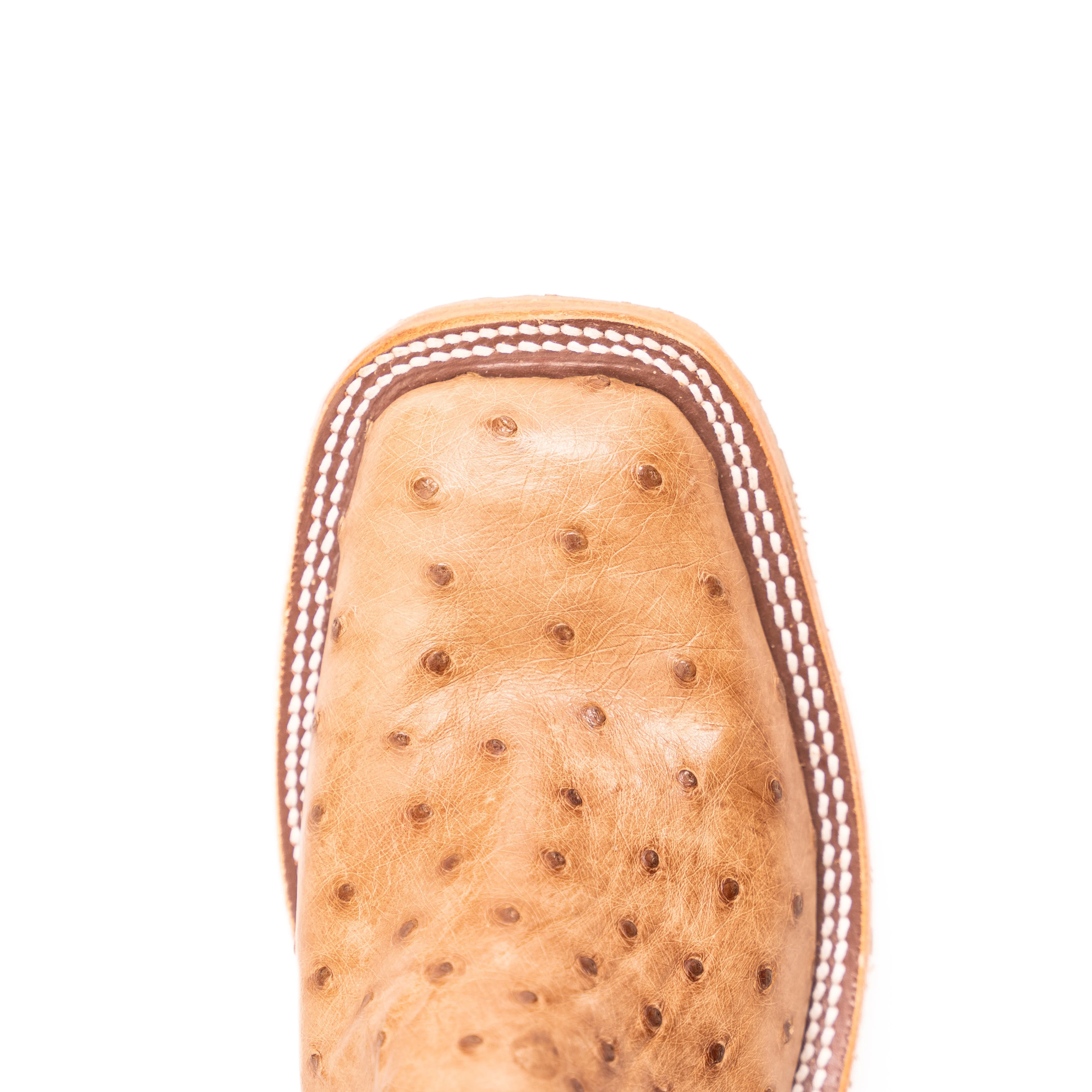 Anderson Bean Tan Full Quill Ostrich with Green Tops