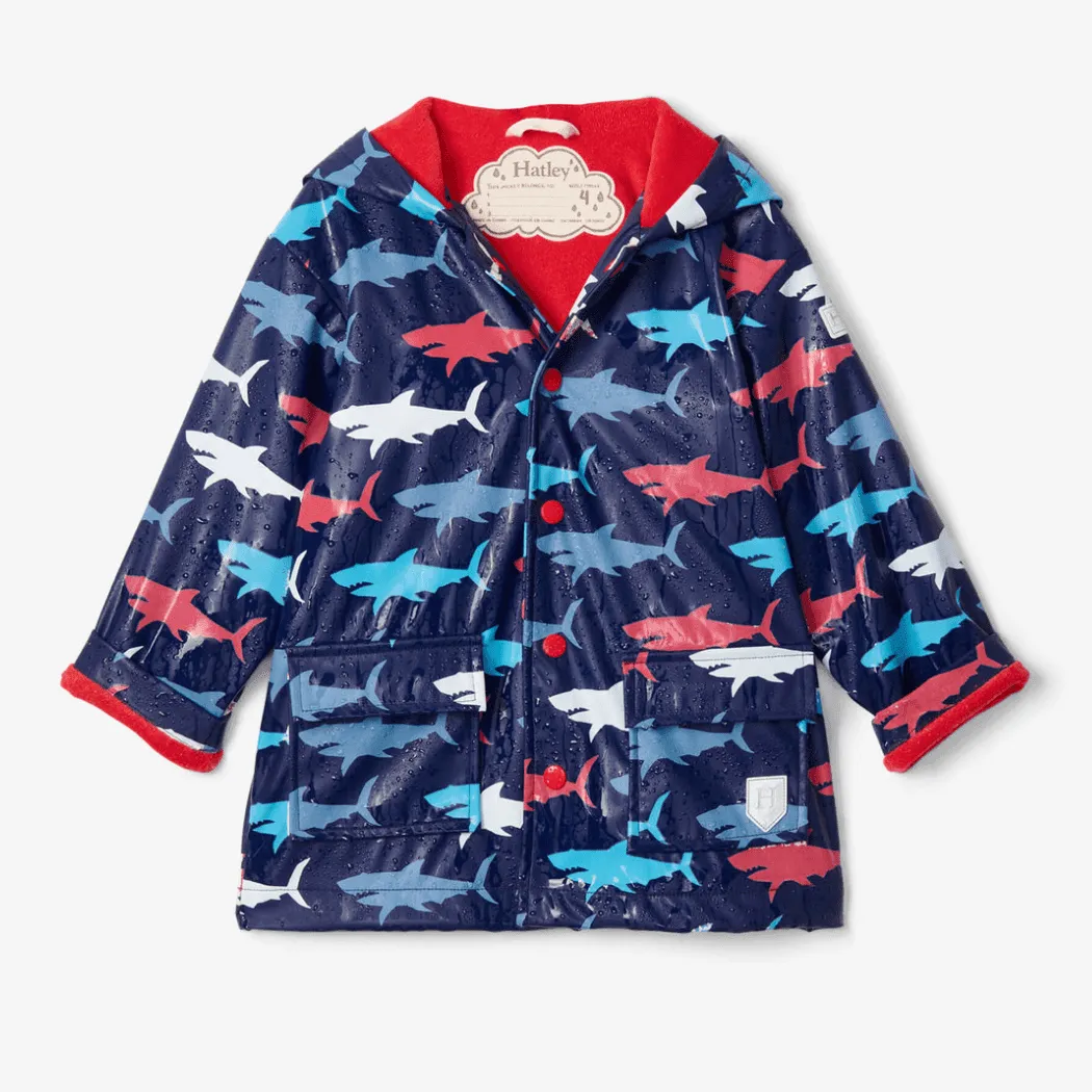 HATLEY Colour Changing Raincoat | Hungry Sharks Size 3