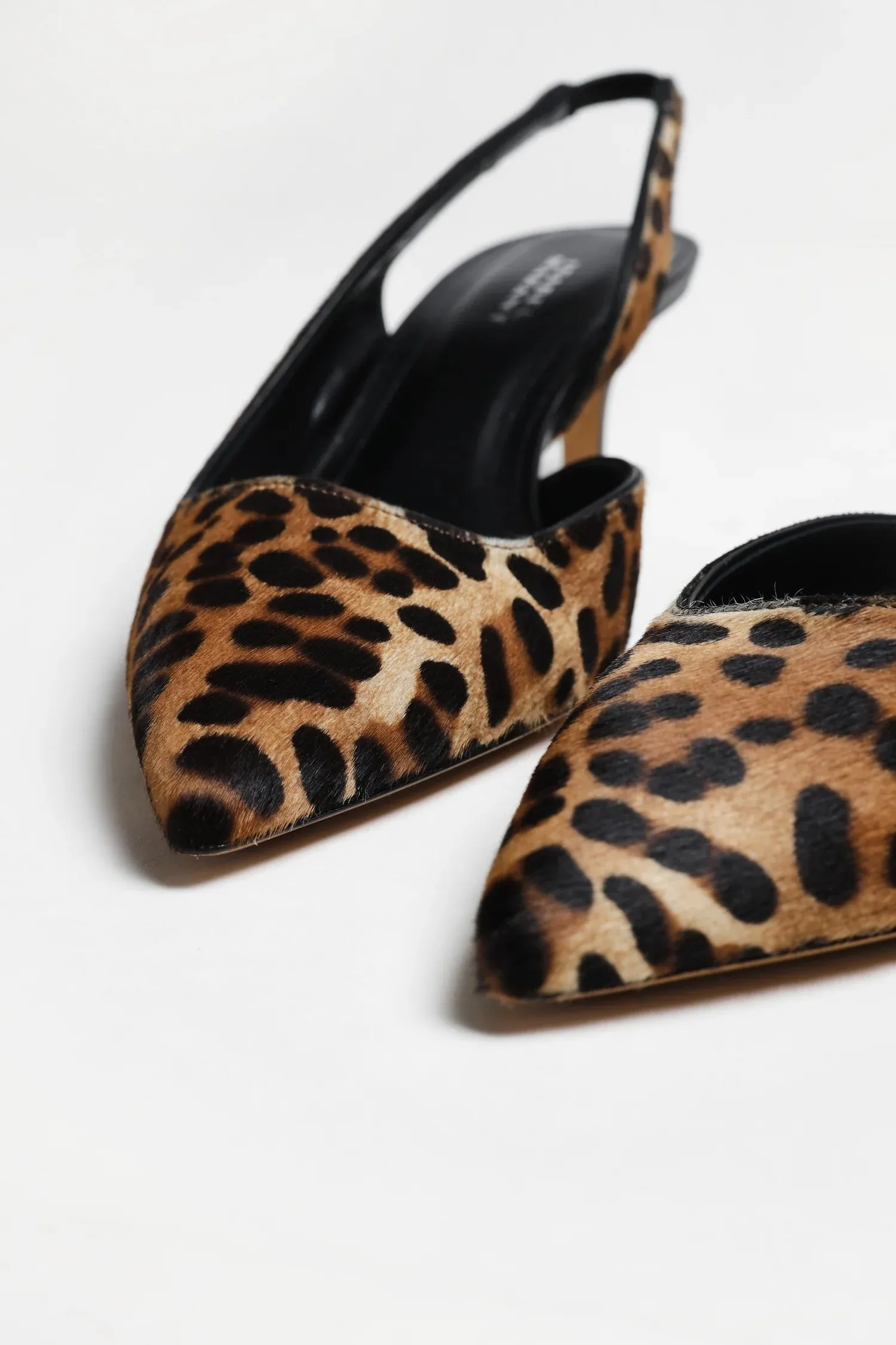 Piery Pumps in Leopard