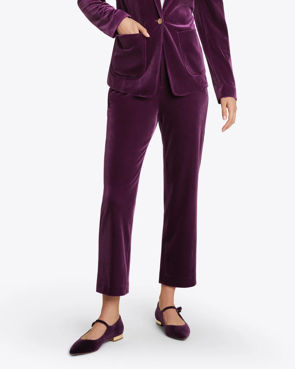 Straight Leg Pants in Plum Velvet