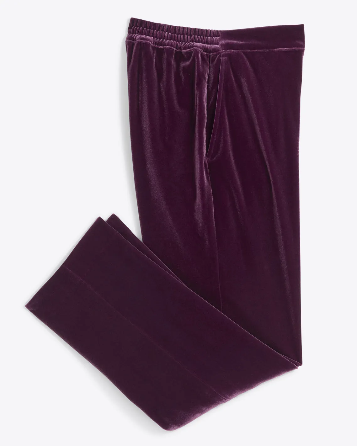 Straight Leg Pants in Plum Velvet